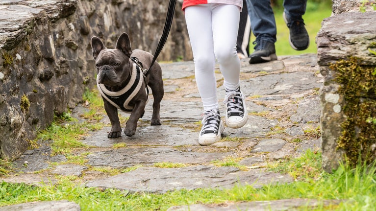 Teulu yn cerdded yn yr ardd yn Nhŷ Mawr Wybrnant, Conwy, Cymru